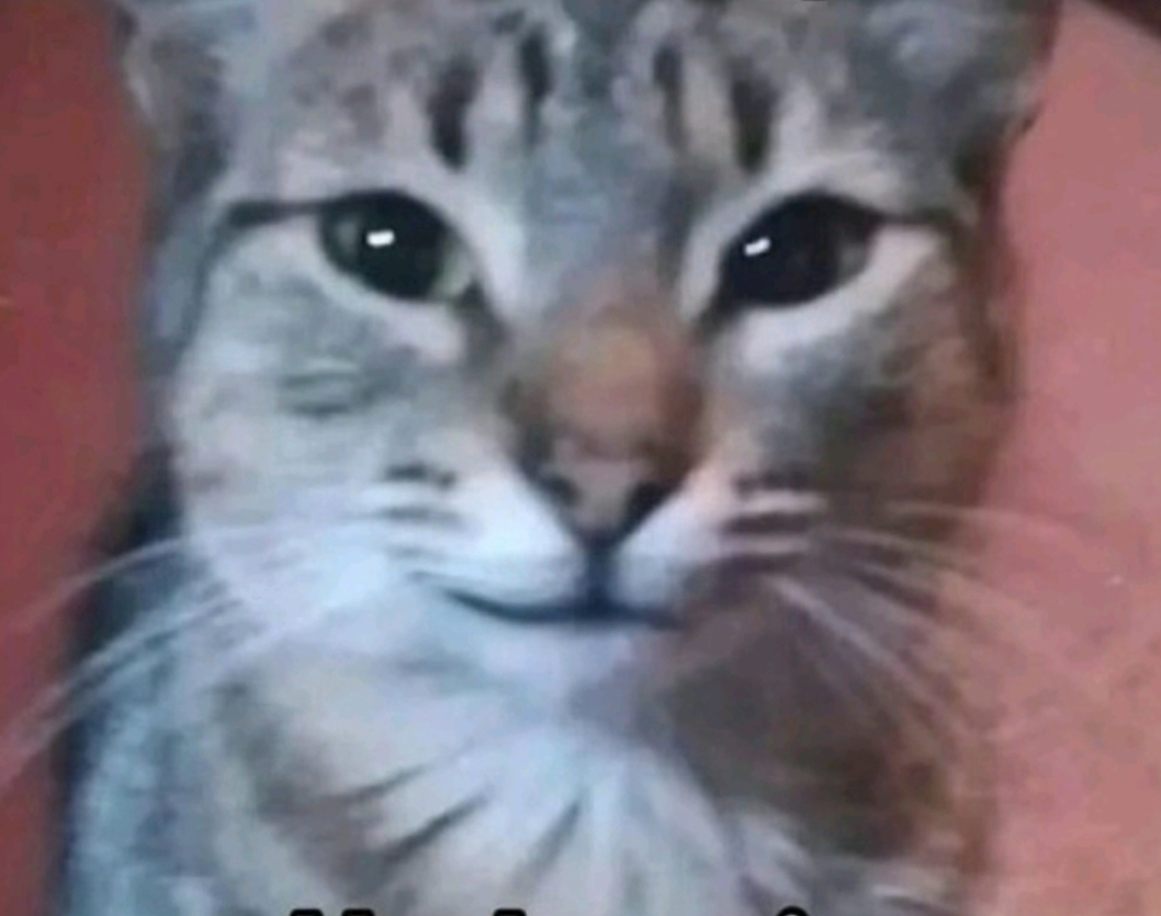Mood Image 51